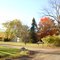 Griswold Dr.