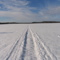 Pearson Winter