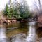 Sturgeon River