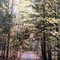 Quail Trail in the Fall