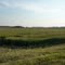 Corn Fields