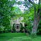 A Touch of Foliage