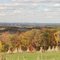Fall Colors in Monroe County
