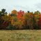 Fall Colors