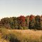 Fall Colors In Wisconsin