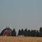A prosperous farm