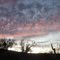 Wickenburg Desert Storm