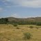 Lush Hassayampa River Valley