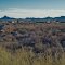 View of part of Wickenburg, Arizona