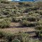 Above Wickenburg