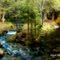 Seven Bridges Natural Area