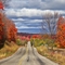 Autumn On Kellyville Road