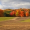 Autumn On The Farm
