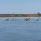 Below Gavins Point Dam