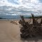 Sandbar near James River Island
