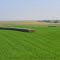 Nebraska Hay Bales