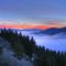 scotts valley fog