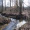 Blackbird State Forest