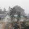 TAEYEON SCHOOL(SPECIAL SCHOOL)