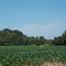 Vandyke Greenspring Road, NEW CASTLE COUNTY (DE)