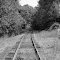 Rail Road Tracks