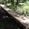 South Trail Boardwalk