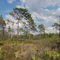 South Trail Campsite