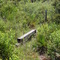 Footbridge for the South Slough
