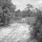 The Road