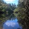 The Sights Along the Hillsborough River