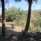 Horseshoe Lake