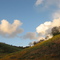 Fallbrook scenery