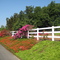 Fallbrook Color