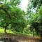 Avocado Grove Fallbrook
