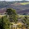 Country Ranch Land