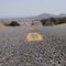 Route 66