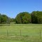 Stewart, AL Bull Pasture