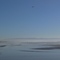 Low Tide