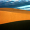 Pismo Beach Dunes, Tricolor