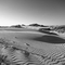 Dunes at Oceano/Pismo Beach, 2007, CA, USA