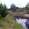Pond at swiftmud's South Fork property