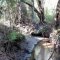 unknown creek:  Upper L. Manatee Riv. preserve