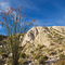 Desert Landscape ...03.29.09*