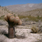 Anza Borrego Statepark