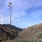Carrizo Gorge 12-2002