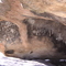 Vallecitos