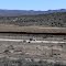 Border Patrol, Jacumba, California