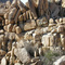 Rock Formations, Joshua Tree National Park, CA