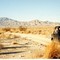Ocotillo Wells