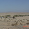 Camp at Ocotillo Wells SVRA
